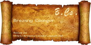 Brezsny Csongor névjegykártya