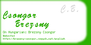 csongor brezsny business card